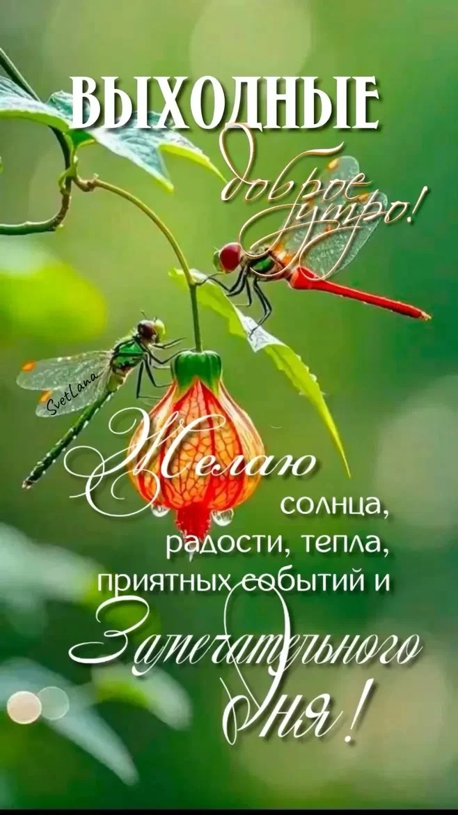 Рай открыток | Открытки 🥰