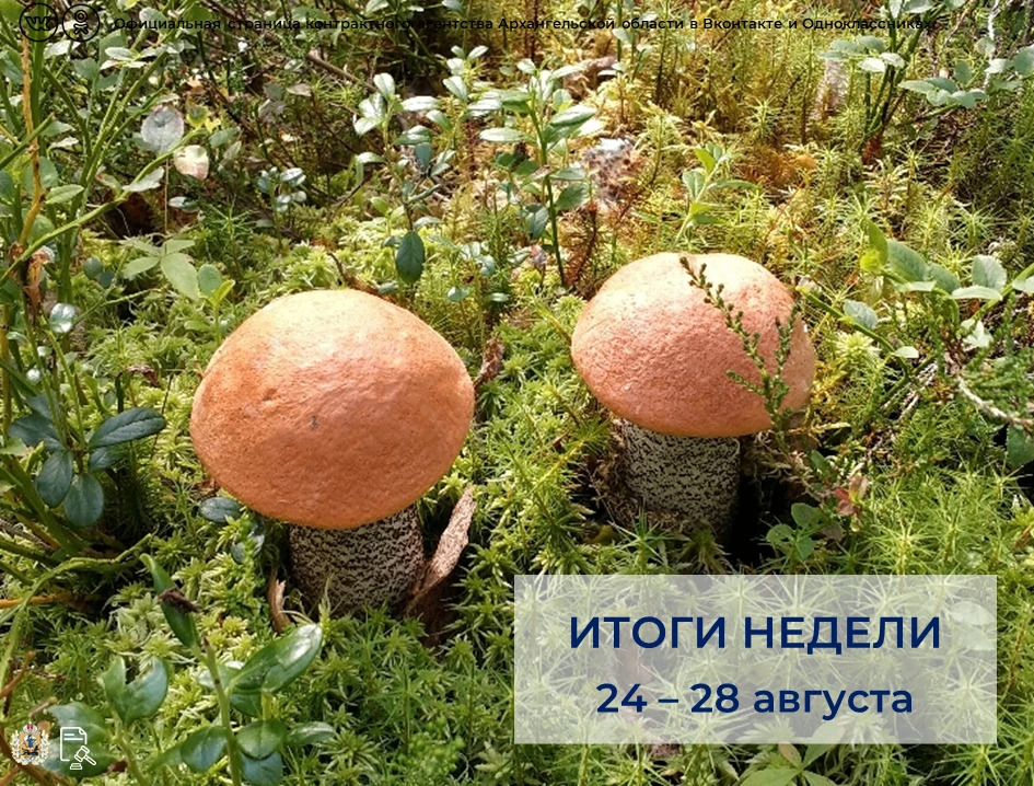 📊За прошедшую неделю агентством⤵️