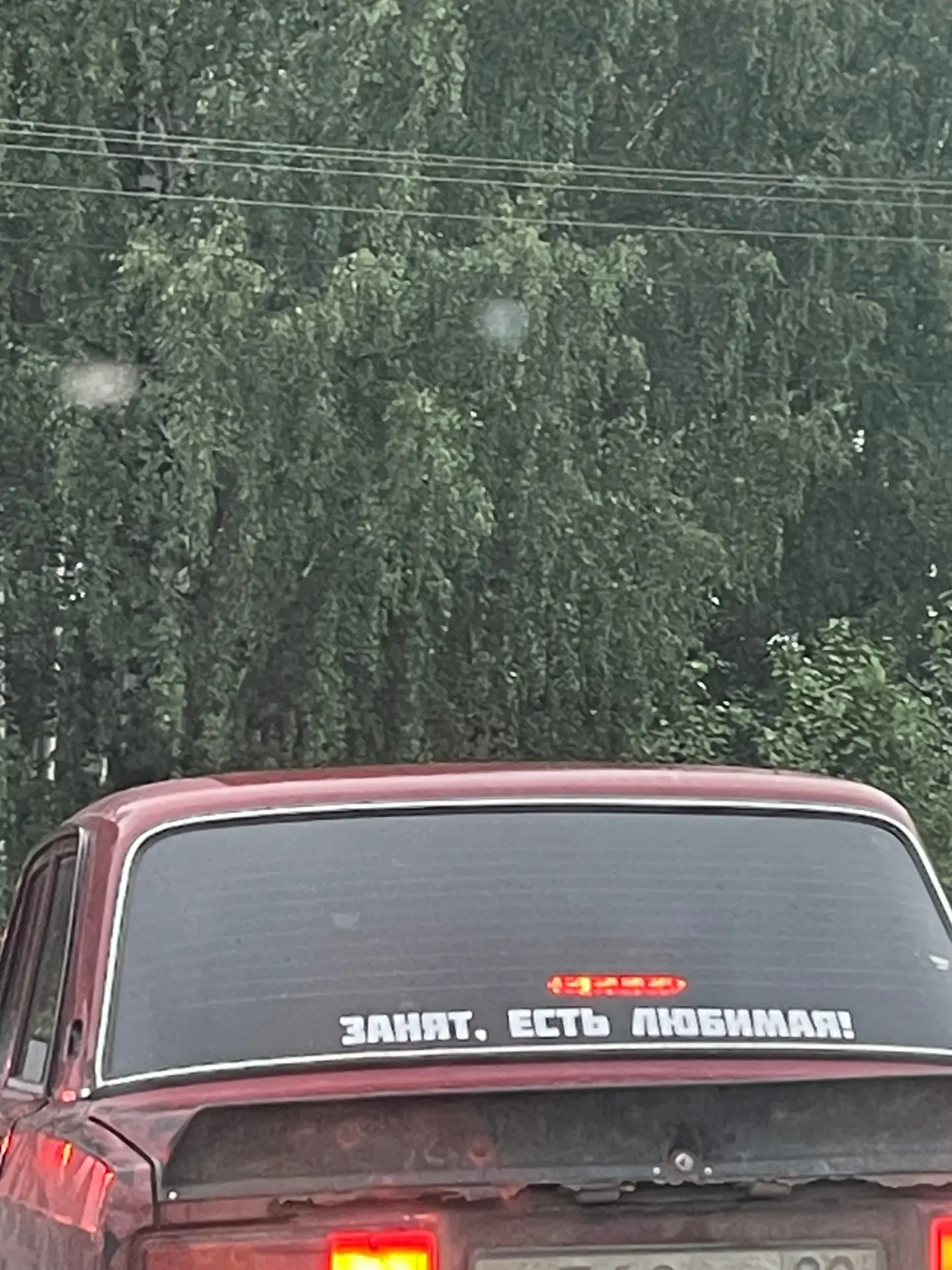 Очень жаль. Где еще найти такого парня в Вельске?