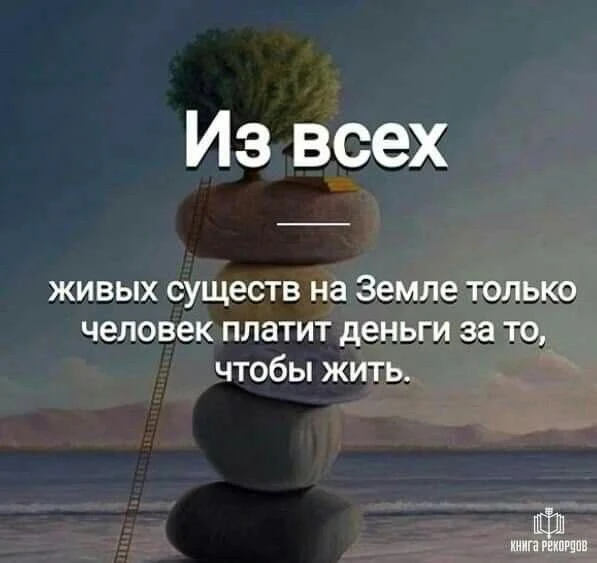 Ставь ❤️, если не знал этого факта, и подписывайся — впереди ещё много открытий!