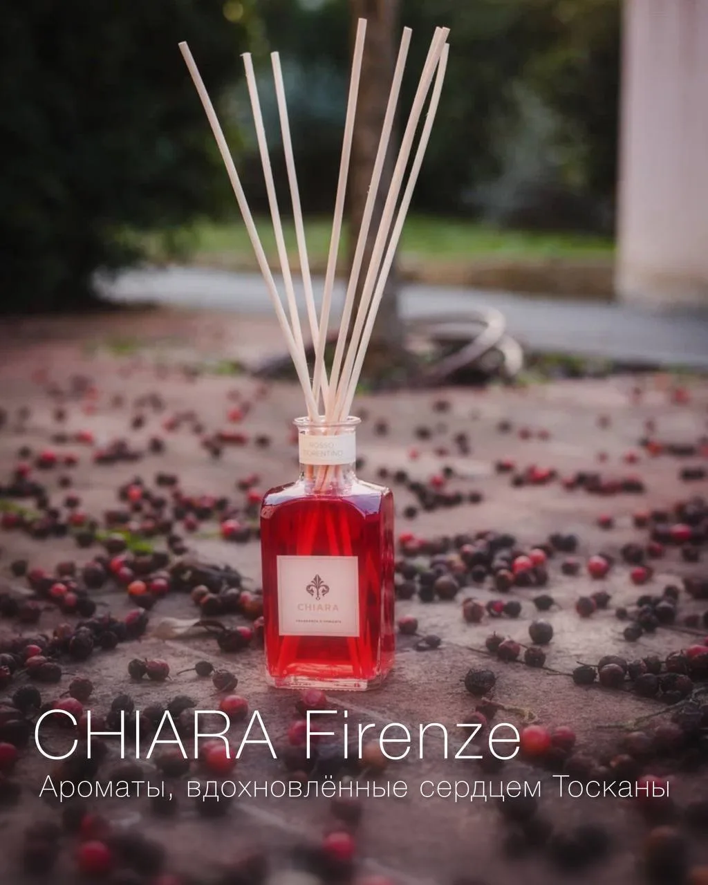 🌞 Ах, солнечная Chiara Firenze из Флоренции! 🌿