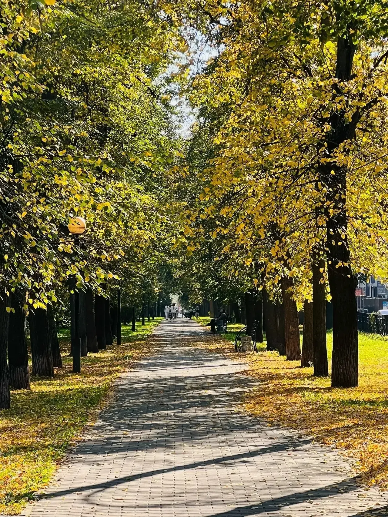 Осенняя Казань🍂