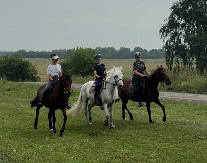 Знакомимся с техникумом:  секция верховой езды!🐎