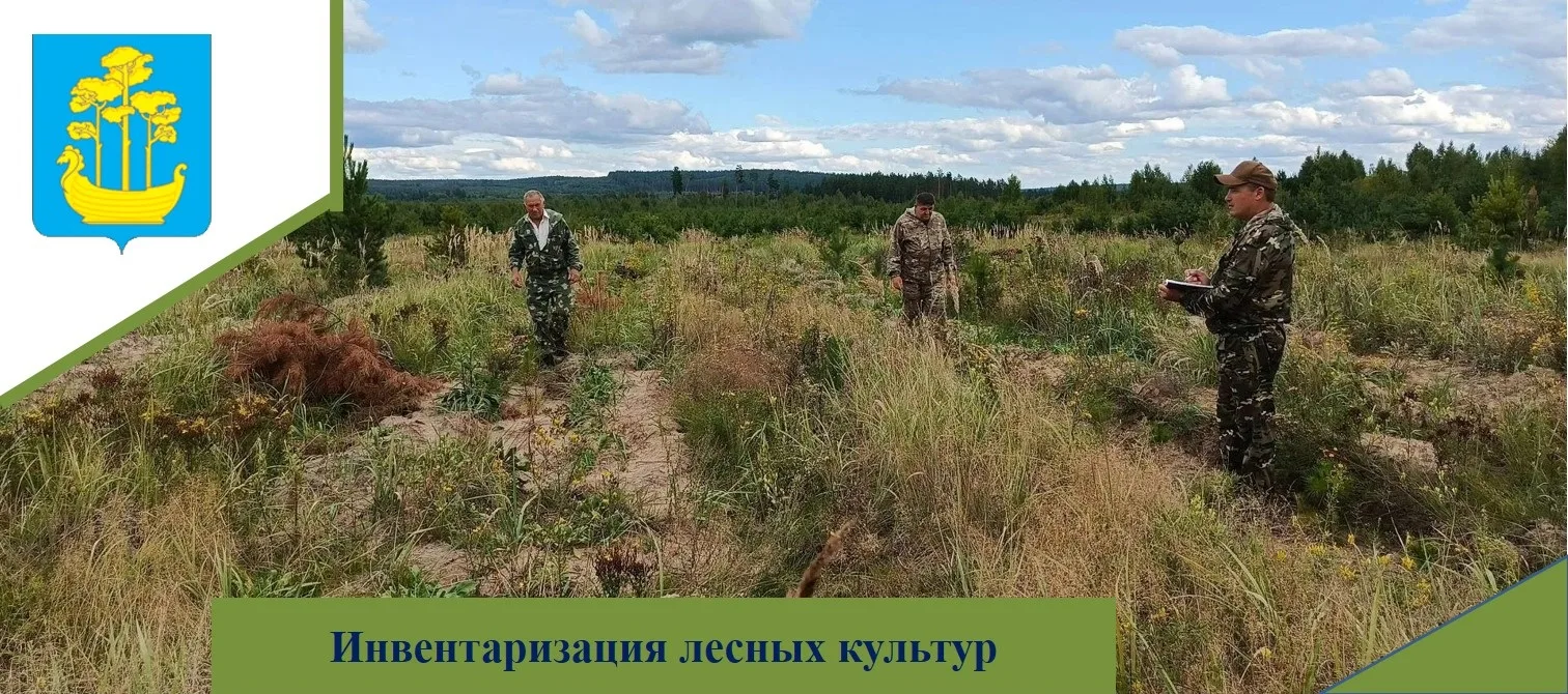 🌱Государственные лесные инспектора Нижне-Липовского-Индерского участкового лесничества...