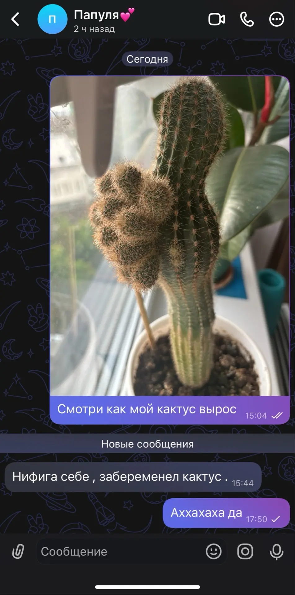 Реакция папы на мой кактус пхахахах