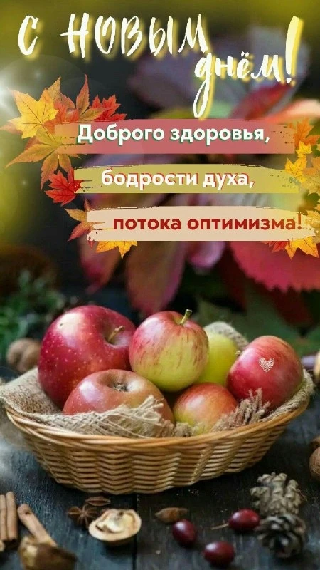 Открытки: подписаться ❤️