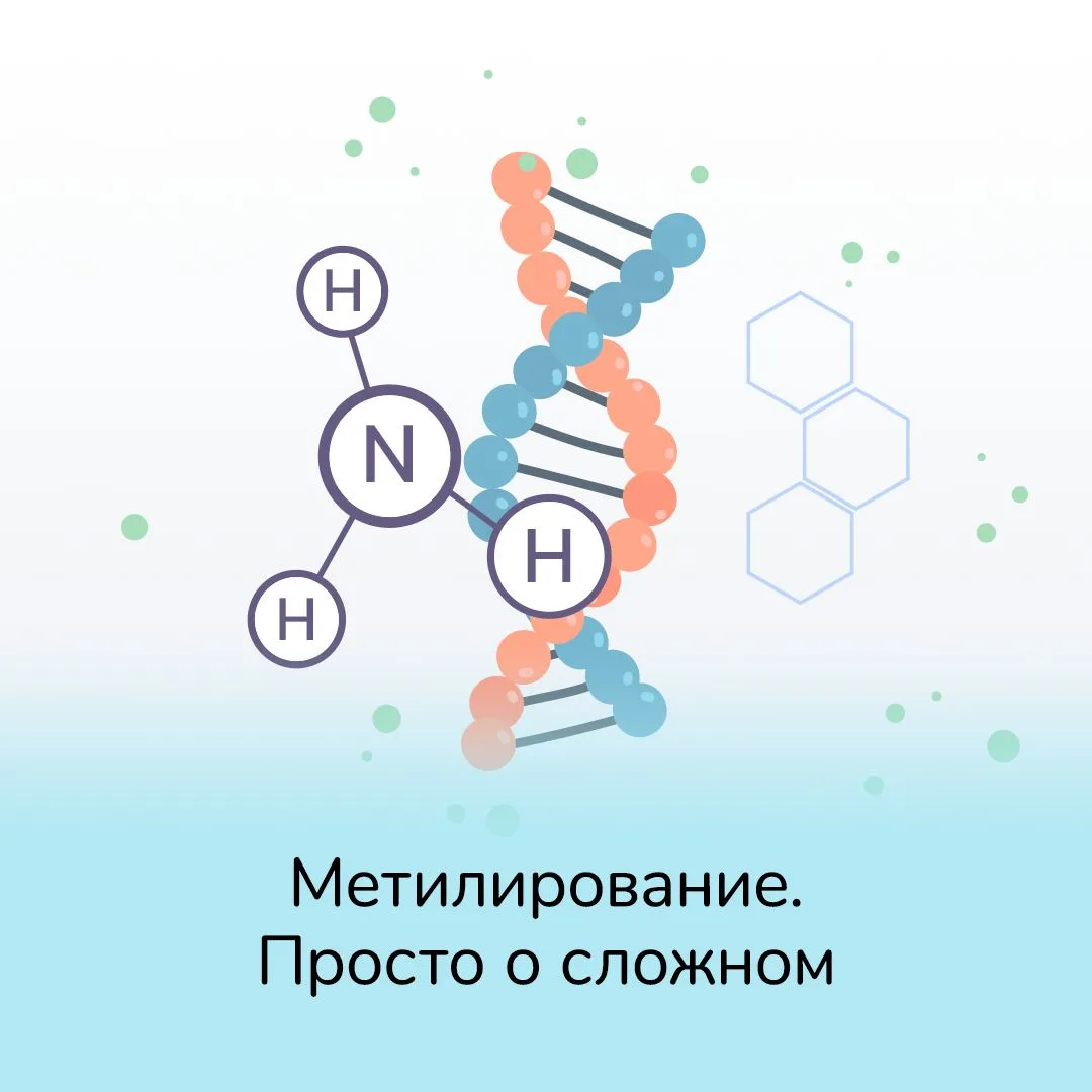В прошлом посте обещала вам рассказать о метилировании — процессе, который играет важную роль в рабо