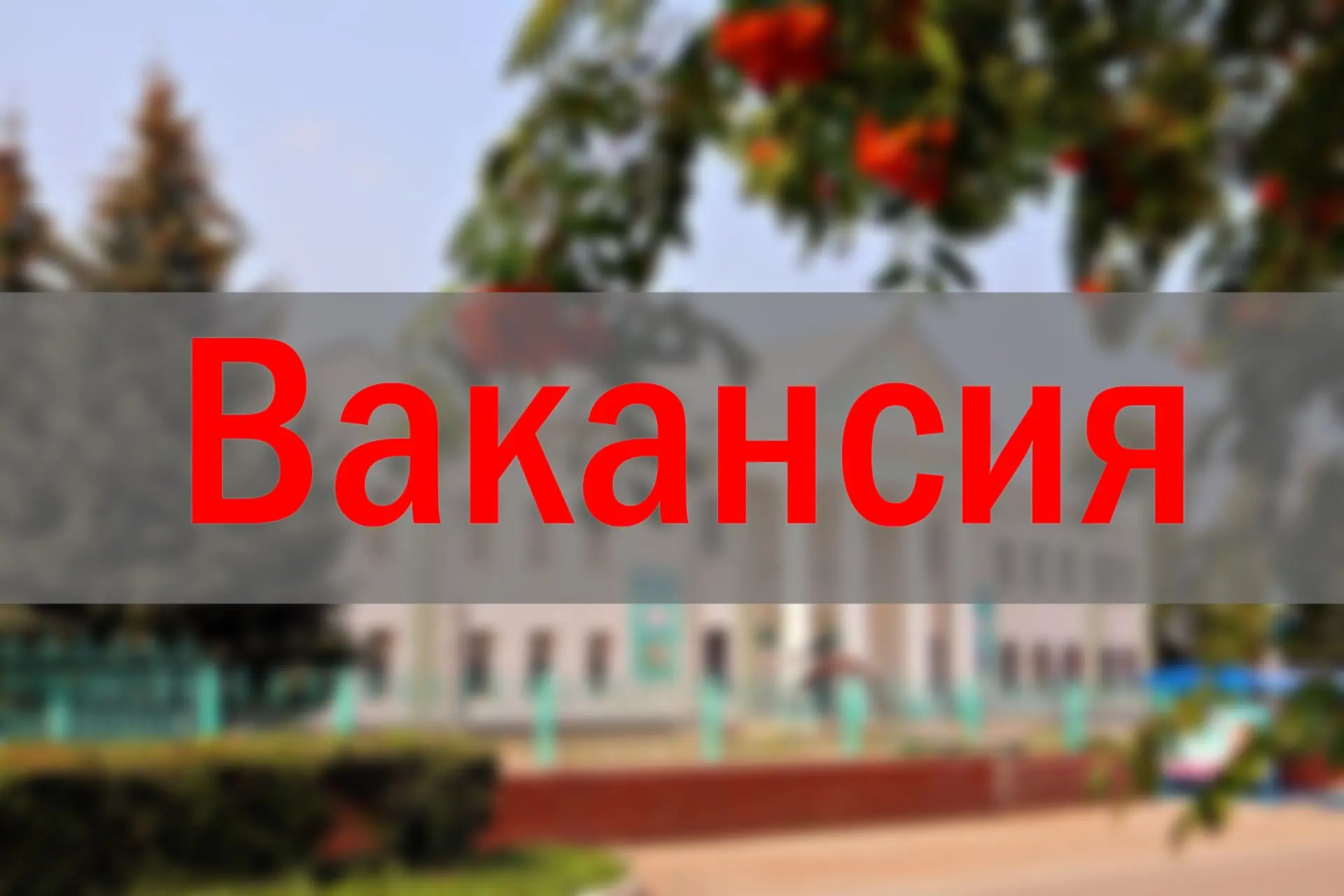 Вакансия❗❗❗
Во Дворец национальных культур «Урал-Батыр»  требуются специалисты:
📍Заведующий центром