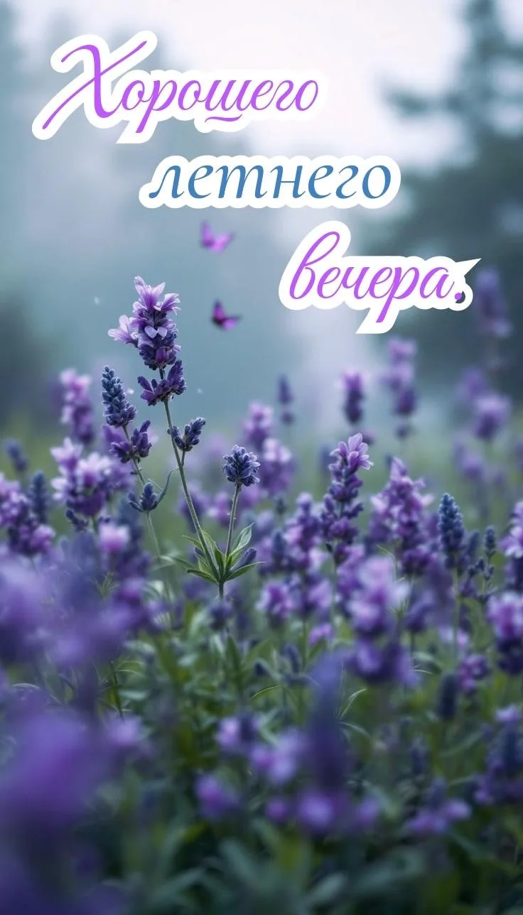 ✨Волшебные открытки! 
👉Подписаться!