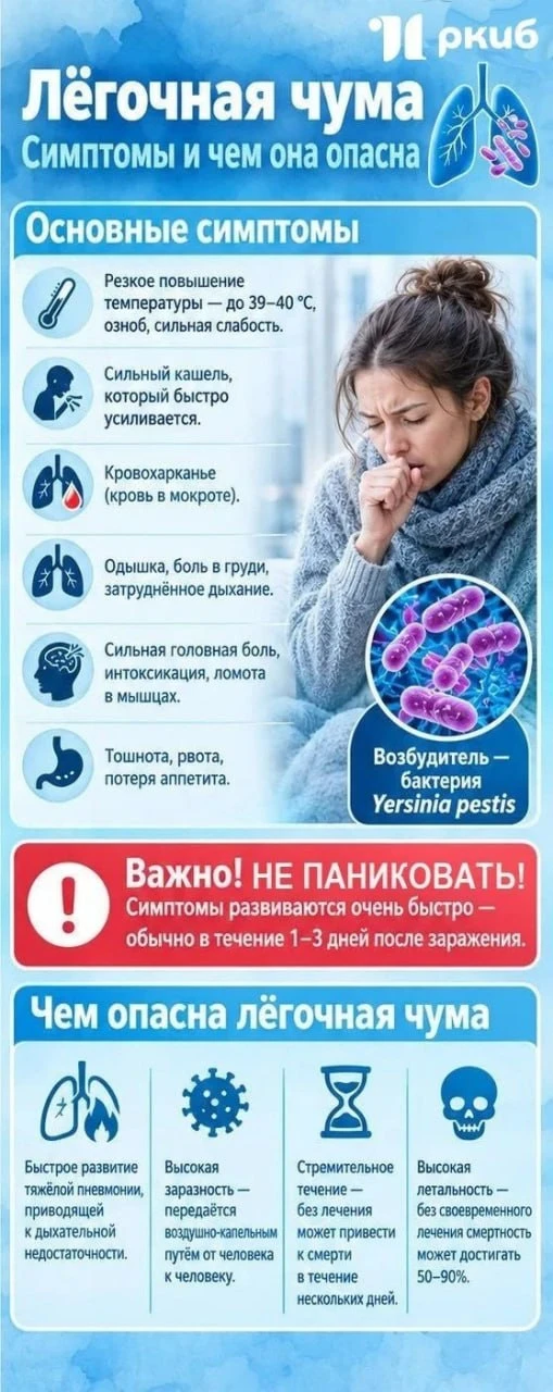 Как защититься от чумы?