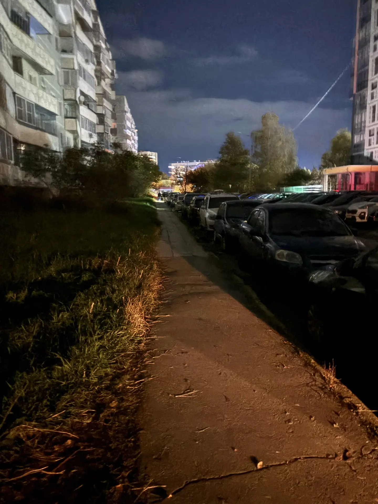 На некоторых улицах ДОКа сейчас вот так🌚