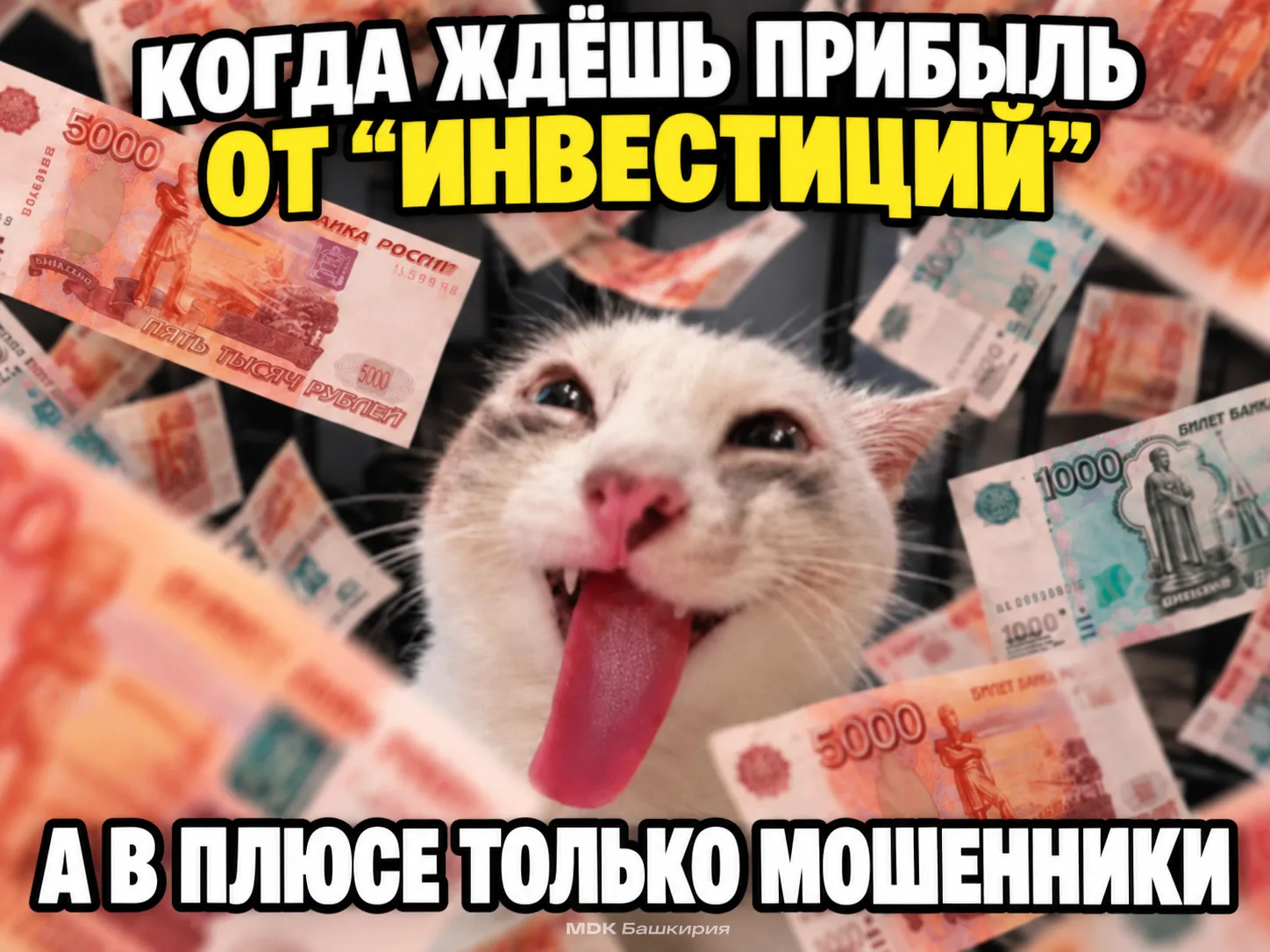 Уфимка заложила квартиру и машину ради «инвестиций» и потеряла больше 10 млн рублей 😨