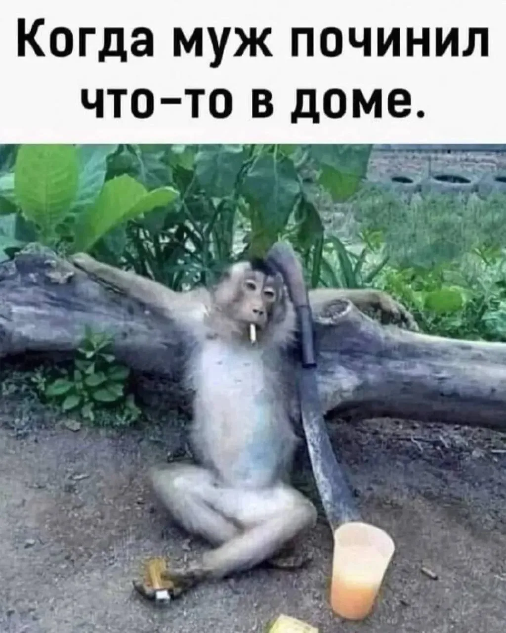 Корпорация смеха