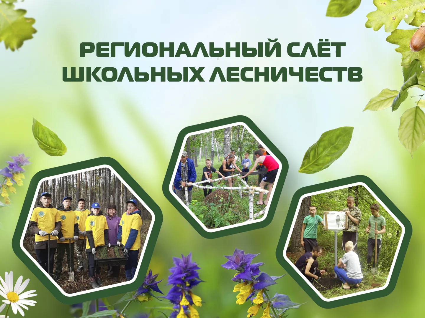 Лес зовёт — школьные лесничества собираются на слёт! 🌲
С 9 по 13 июля в Николаевском районе пройдёт