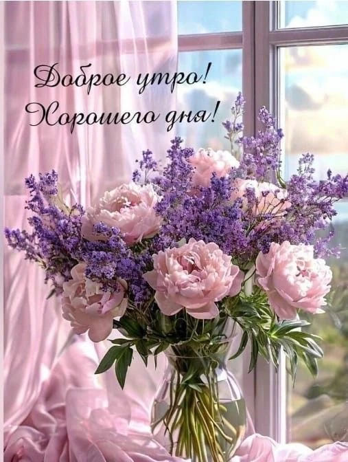 Пенсионеры онлайн ✅