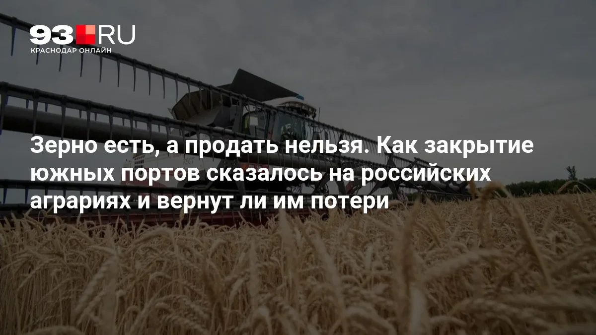 📈 Зерновой экспорт в России: что происходит и как это повлияло на аграриев