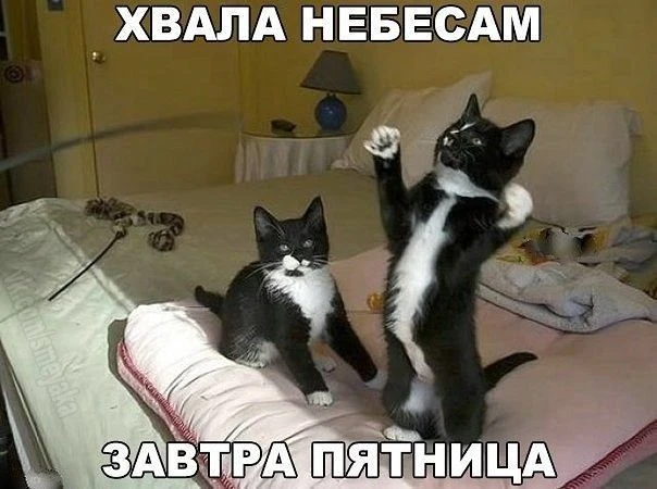 Доброе утро, дорогие🫶