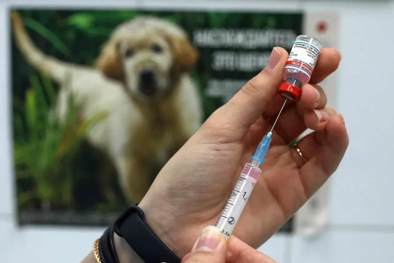 💉 На Ставрополье потребовали изъять серию вакцины для собак «Мультикан-8»