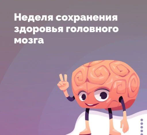 Поддержание функциональной активности и когнитивного потенциала головного мозга является приоритетом