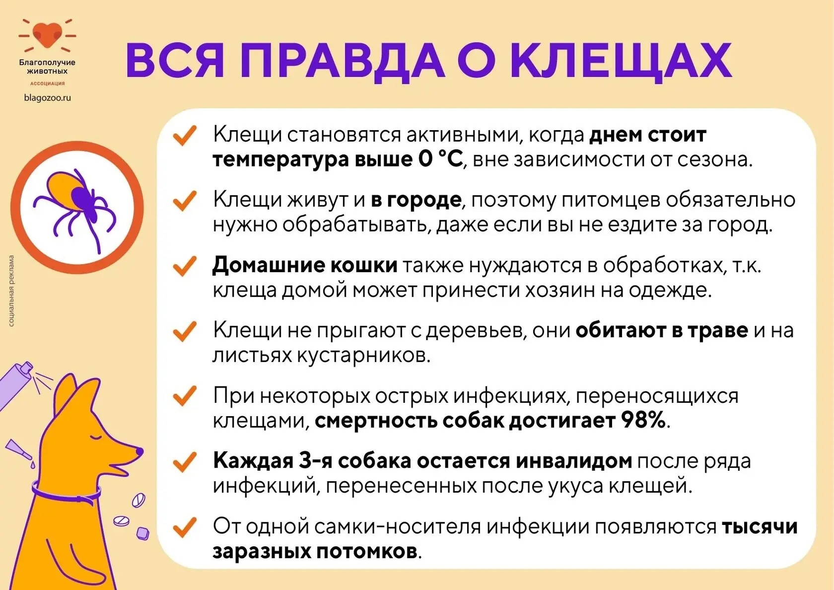 Сезон клещей уже начался — позаботьтесь о безопасности своих питомцев 🐾

Весна и лето это время про