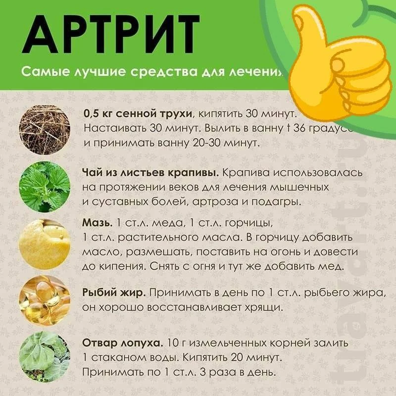Артрит: самые лучшие средства для лечения

📌 Берём на заметку.