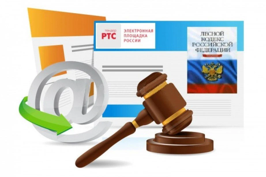 ✅ Департамент лесного хозяйства Томской области (организатор аукциона) сообщает о проведении аукцион