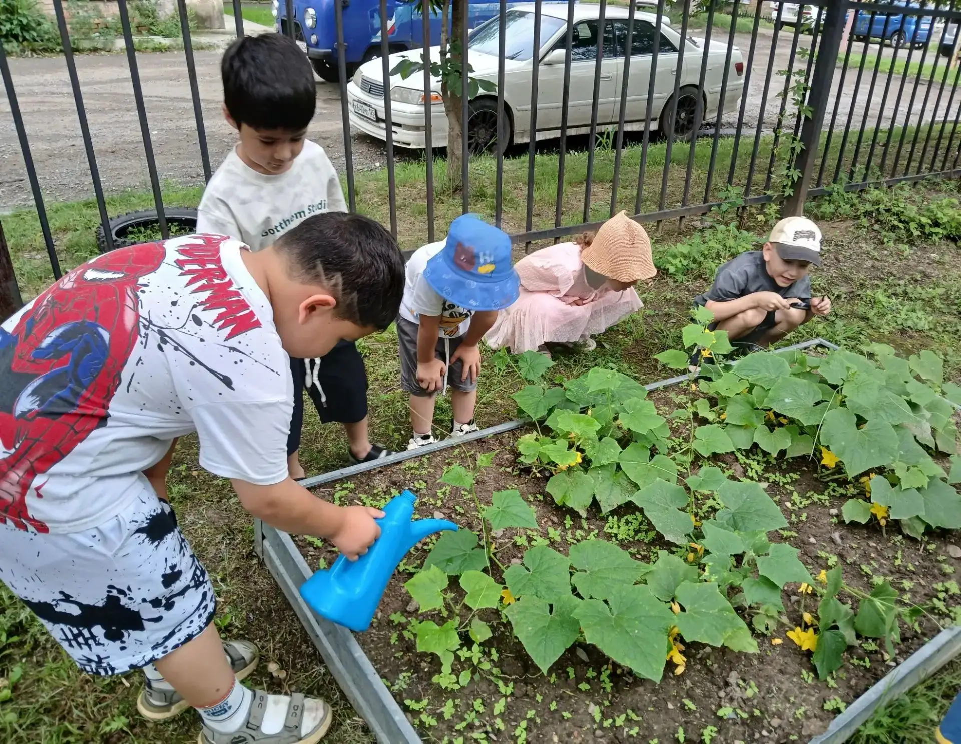 🌿 Неделя юных экологов в группе «Грамотеи-затейники»

Изучали законы природы, играли в экологически