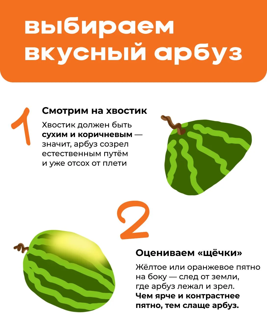 🍉 Обращаемся к экспертам

Отметьте самый важный пункт, который влияет на вкус арбуза. 
Ставьте реак