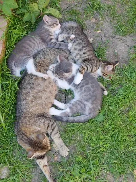 Вы послушайте, ребята,
