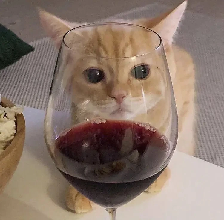 🍷 Сегодня празднуется День вина и сыра.

Отправляйте друзьям, с которыми будете отмечать