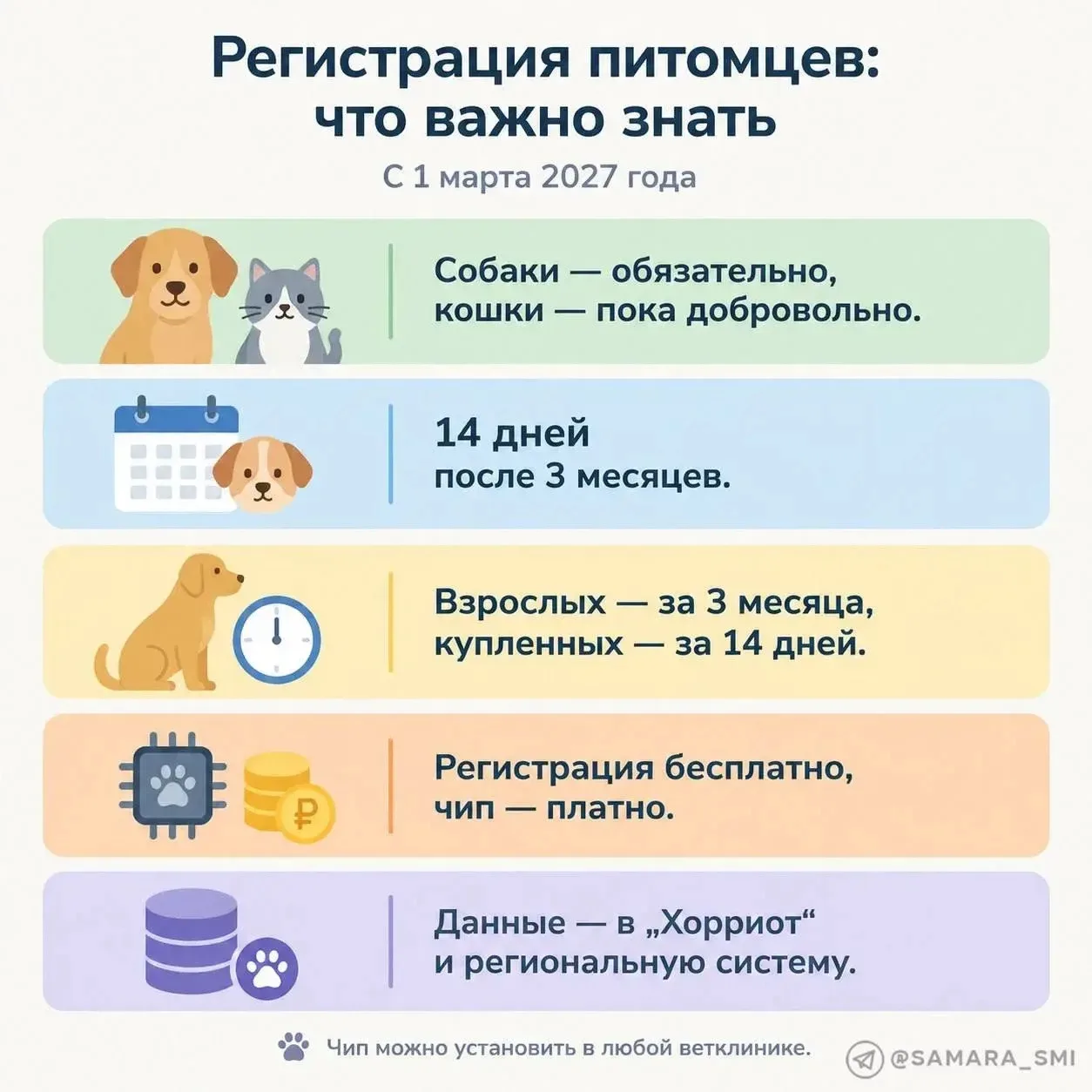 🐶 Паспорт, СНИЛС и чип: в Самарской области ввели обязательную регистрацию собак