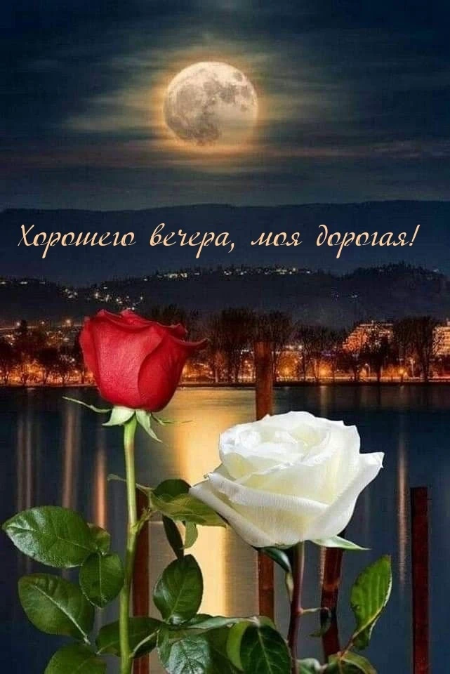 #ХорошегоВечера