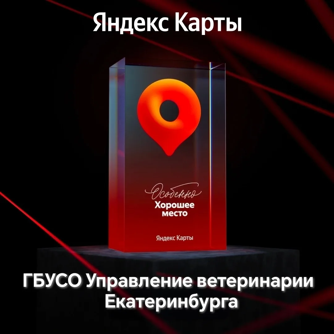 Наш статус — «Особенно Хорошее место» от Яндекс Карт! 🏆🐾