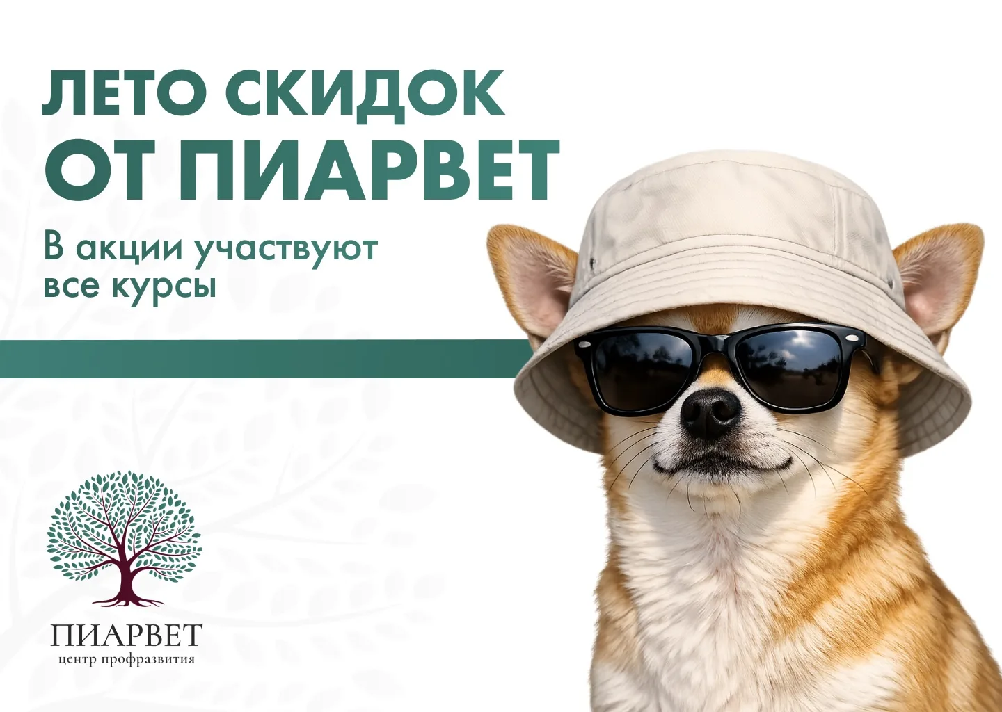 ☀ Лето скидок от ПИАРВЕТ!