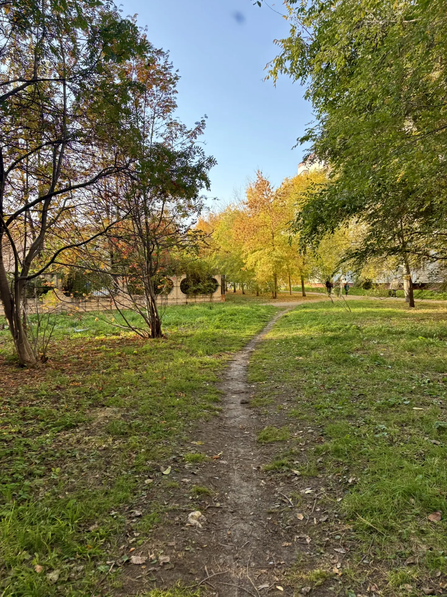 Доброе утро, Озерск🍂