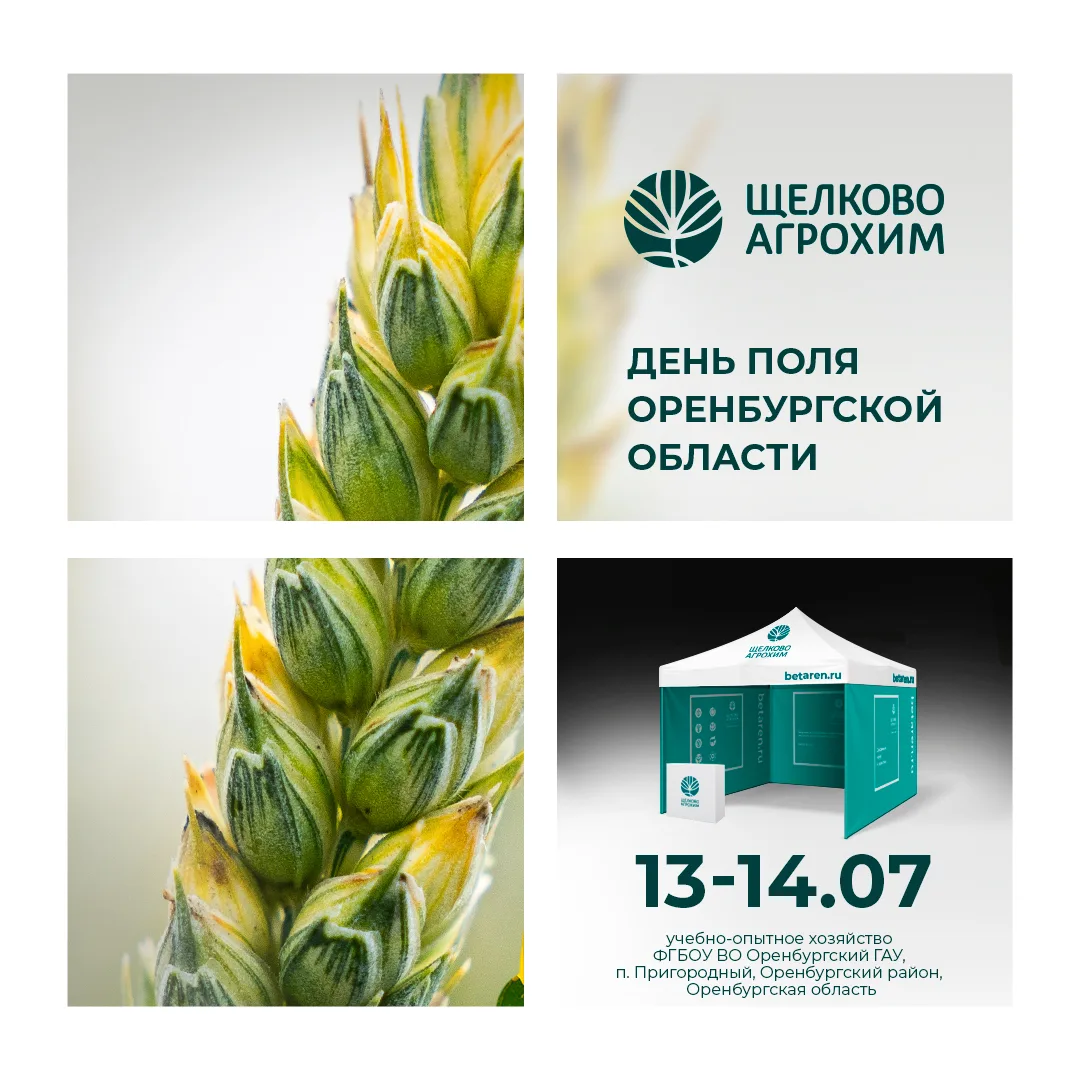 🌾 «Щелково Агрохим» приглашает вас посетить День поля – 2026, который пройдет 13–14 ию...