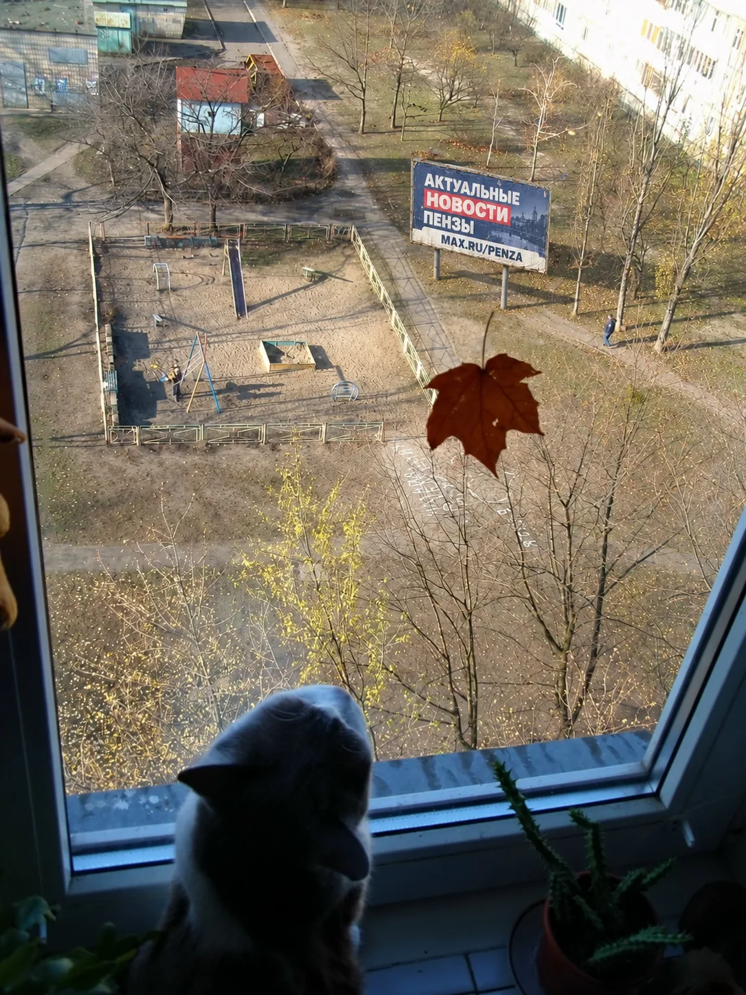 В Пензе могут отложить начало отопительного сезона из-за потепления.