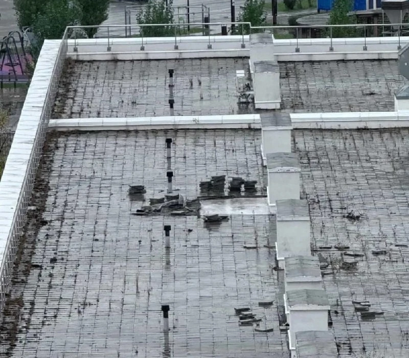 🌱 Крыша гимназии в Тюмени решила стать огородом
