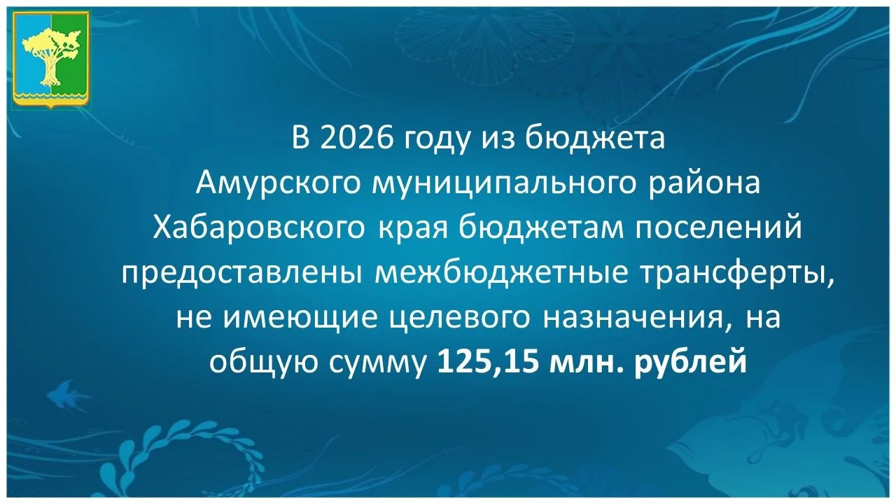 📌 Предоставление межбюджетных трансфертов из бюджета Амурского муниципального района Х...