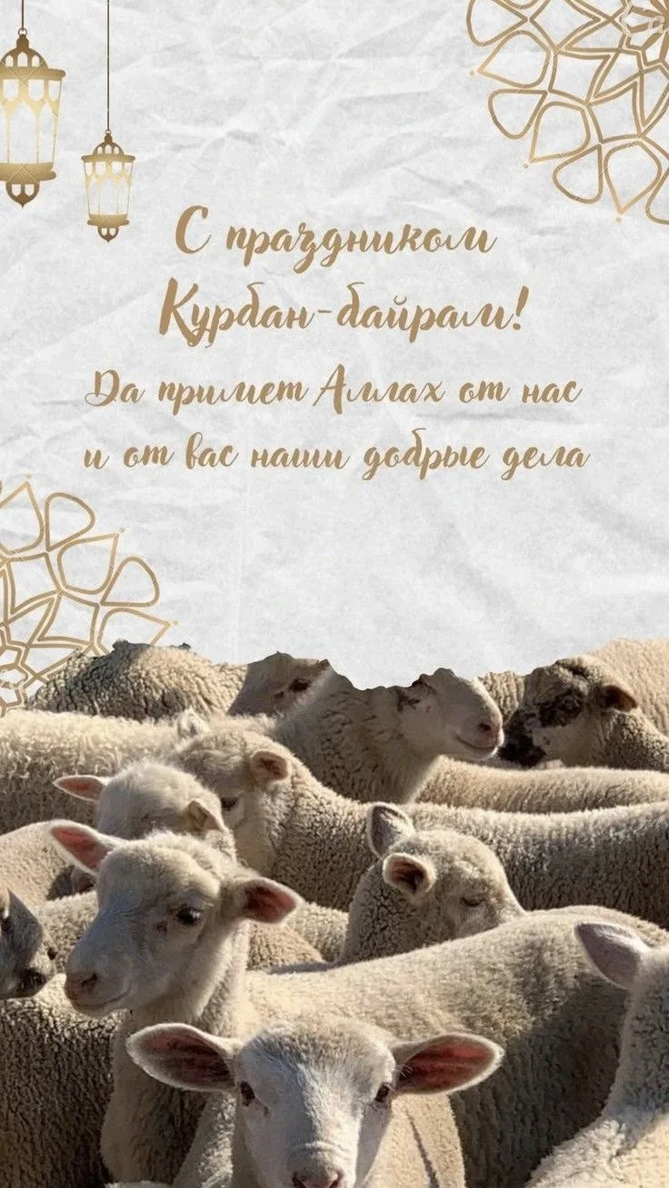 Дорогие родители, милые дети, уважаемые коллеги!