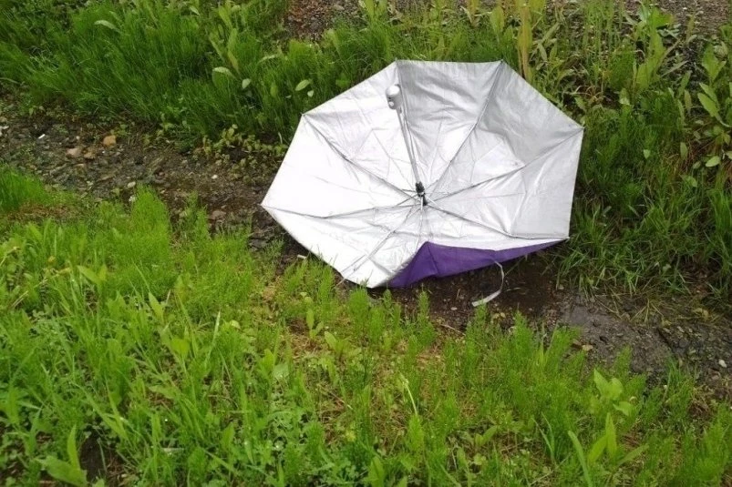 ⛈️Затяжные ливни с грозами обрушатся на Уссурийск – даты Подробный прогноз погоды на неделю по дням 