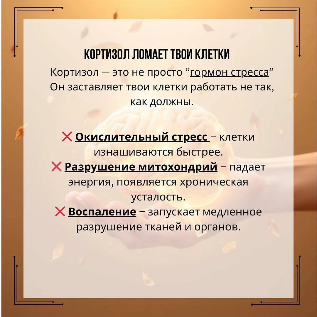 Изображение 6 к публикации «Sport Life»