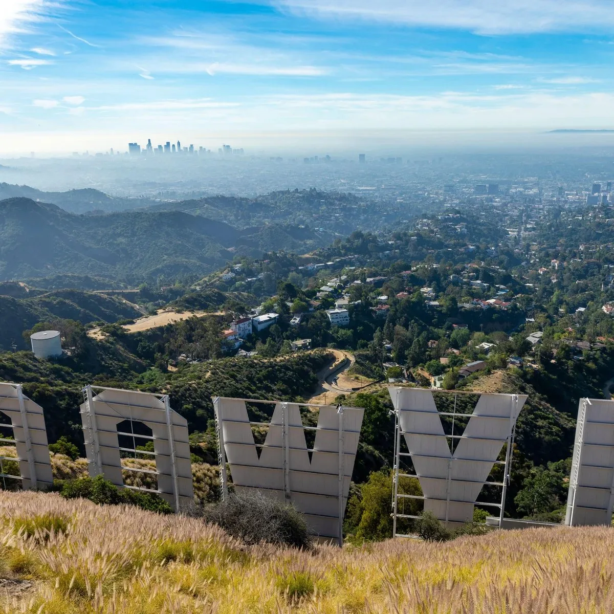 🇺🇸 ЗМЕИ И РЫСИ ОБЖИЛИ HOLLYWOOD — ЛЮДЕЙ ТУДА НЕ ПУСКАЮТ