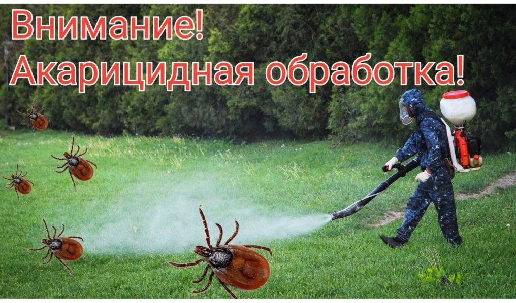 ❗❗❗ВНИМАНИЕ, РОДИТЕЛИ!
6 мая  (при условии хорошей погоды!)  будет проводиться акарицидная обработка