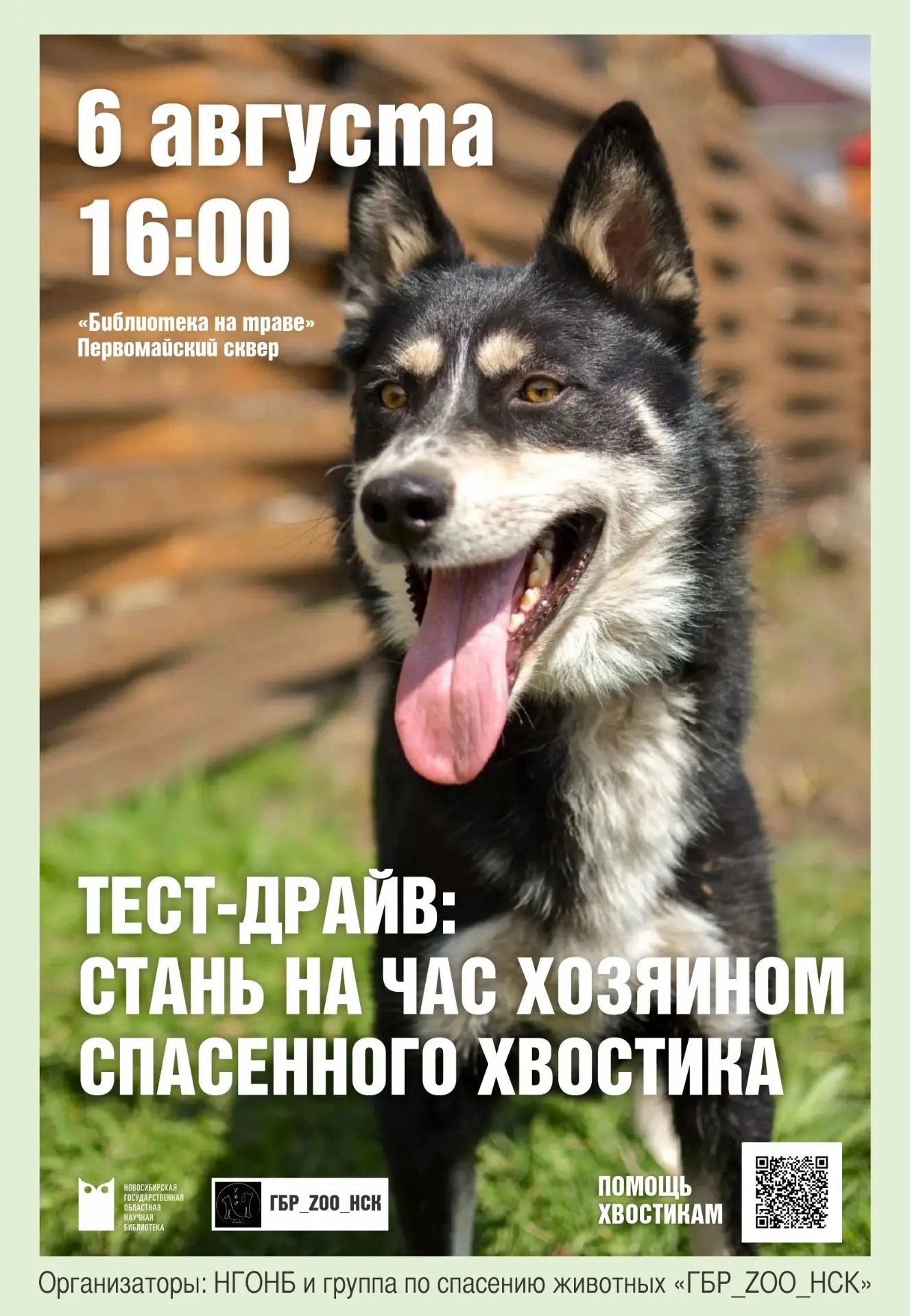 Тест-драйв: стань на час хозяином спасённого хвостика