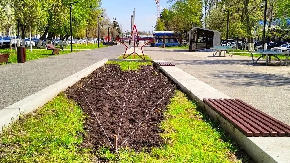 Ярких красок вам в ленту! В городе разбили первые клумбы, которые радуют глаз своей красотой.  Особо