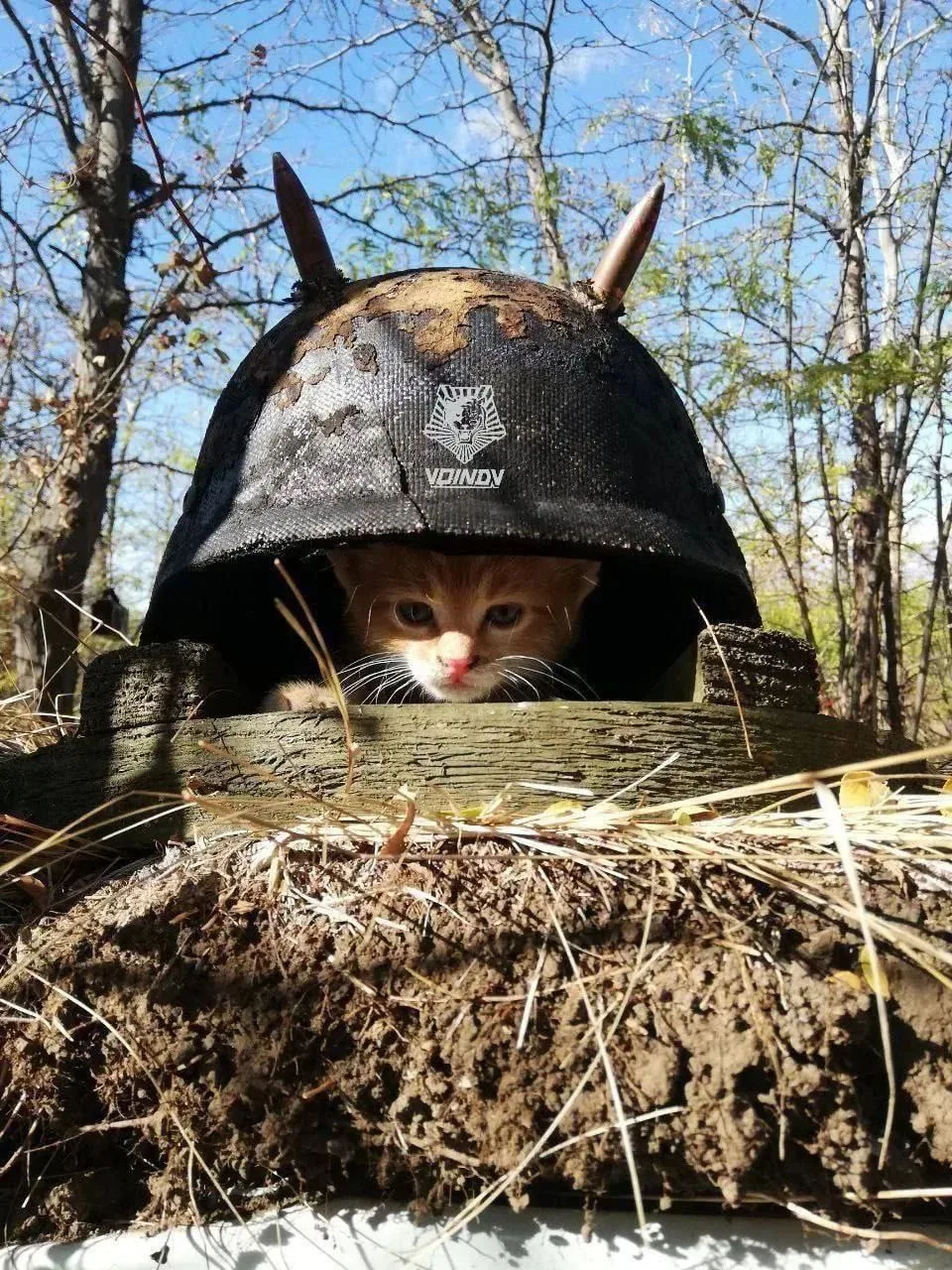 С добрым утром!