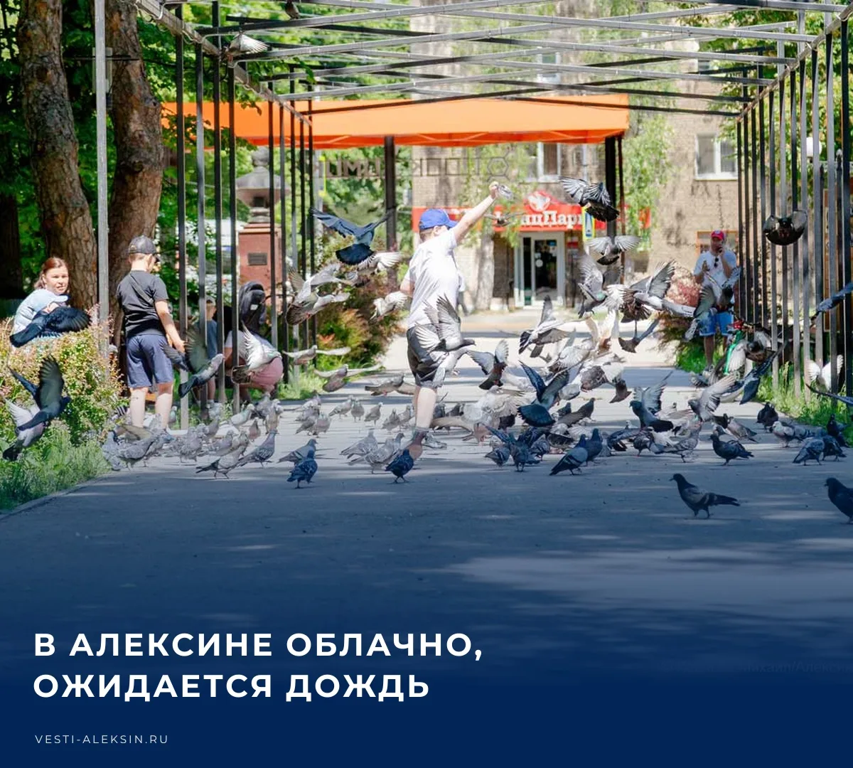 В Алексине и рабочем поселке Новогуровский будет облачно с прояснением, ожидается небол...
