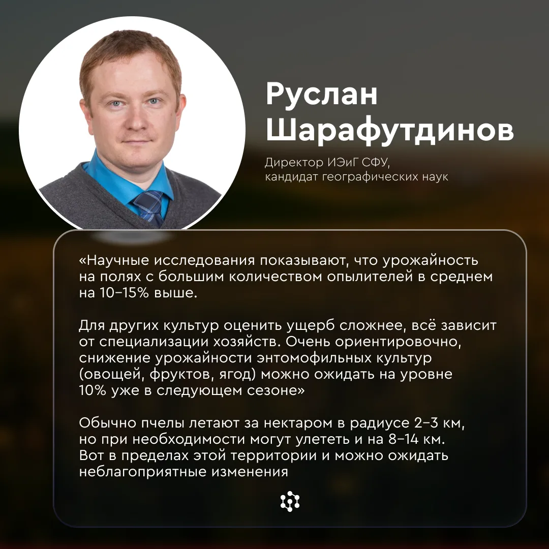 В Красноярском крае, по предварительным данным, из-за обработки полей пестицидами погибли около 30 м