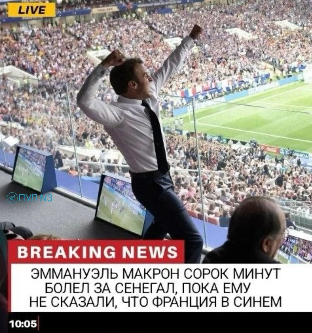 Похоже на правду